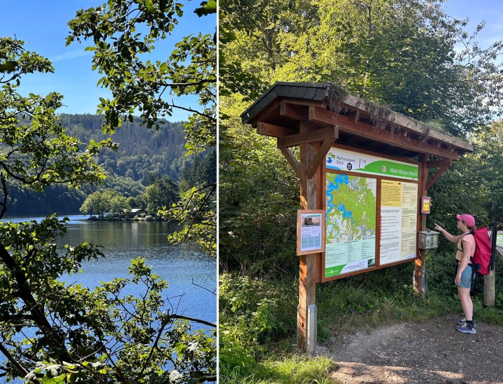 Vandrer, der læser rutekortet ved indgangen til Eifel Nationalpark, Tyskland